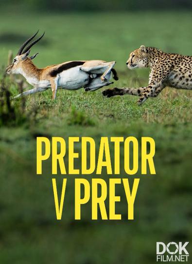 Хищник против жертвы/ Predator v Prey. Сезон 2 (2025)