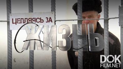 Расследование Эдуарда Петрова. Цепляясь за жизнь (2022)