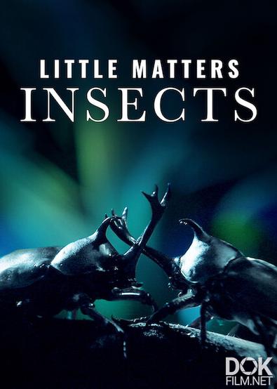 Маленькие, но значительные: Насекомые/ Little Matters: Insects (2014)