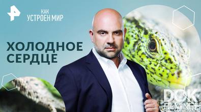 Как устроен мир с Тимофеем Баженовым. Холодное сердце (08.11.2024)