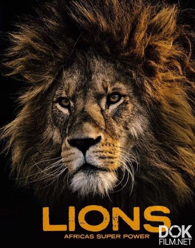 Львы: сила прайда/ Lions Africa's Super Power (2020)