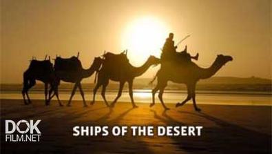 Корабли Пустыни / Ships Of The Desert (2012)