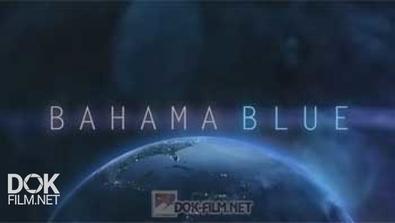 Голубые Багамы / Bahama Blue (2014)