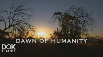 Рассвет Человечества / Dawn Of Humanity (2015)