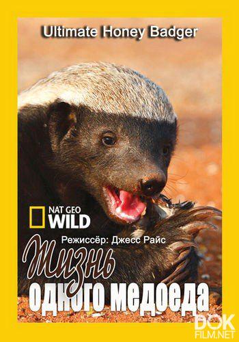 Жизнь одного медоеда/ Ultimate Honey Badger (2013)