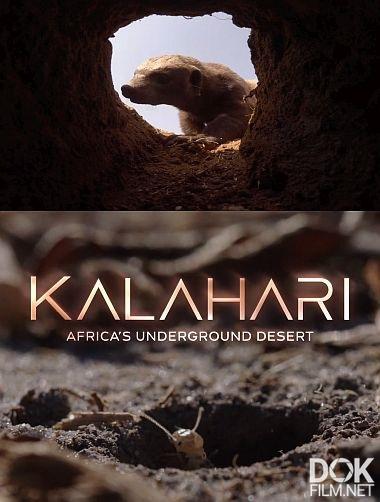 Калахари - подземная пустыня Африки/ Kalahari – Africa's Underground Desert (2026)