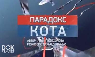 Специальный Репортаж. Парадокс Кота (2013)