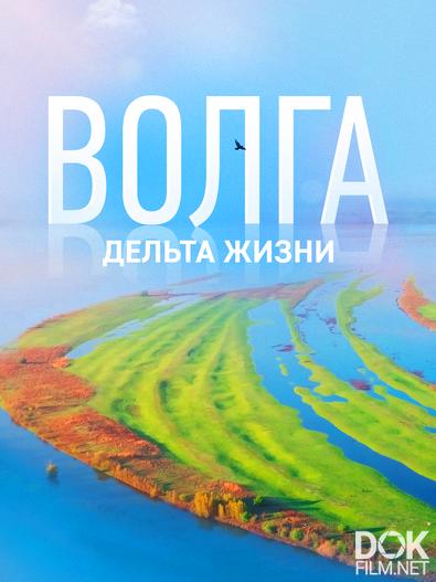 Волга: дельта жизни (2025)