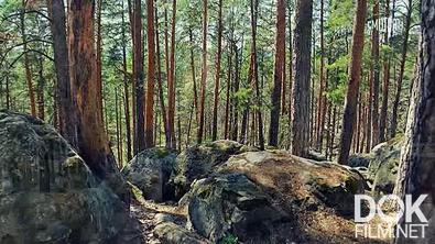 Искатели. По следам подземных старцев (2025)