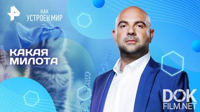 Как устроен мир с Тимофеем Баженовым. Какая милота (22.08.2025)