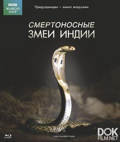 Мир природы (Живой мир). Смертоносные змеи Индии/ The Natural World - One Million Snake Bites (2011)