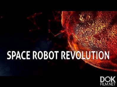 Революция Космических Роботов / Space Robot Révolution (2018)
