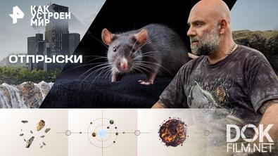 Как устроен мир с Тимофеем Баженовым. Отпрыски (30.10.2026)