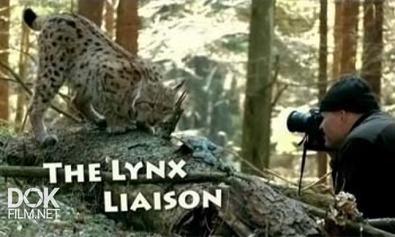 Рыси. История Лизы И Муро / The Lynx Liaison (2010)