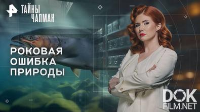 Тайны Чапман. Роковая ошибка природы (22.09.2025)