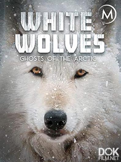 Белые волки: призраки Арктики/ White Wolves: Ghosts of the Arctic (2017)