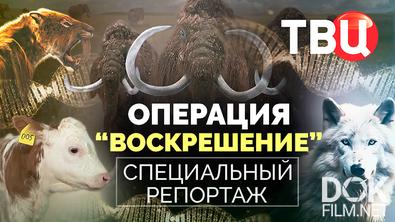Операция "Воскрешение". Специальный репортаж (2025)