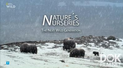 Дикие ясли Природы: Воспитывая новое поколение/ Nature's Nurseries - The Next Wild Generation (2026)