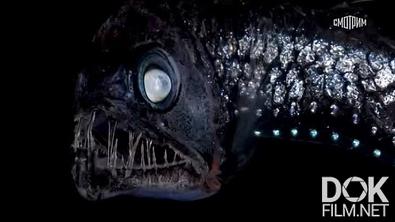 Искатели. С чего начинаются мифы? (2025)