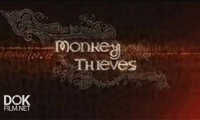 Обезьяны-Воришки / Monkey Thieves (2008)