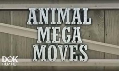 Мега Переезды Животных / Animal Mega Moves (2010)