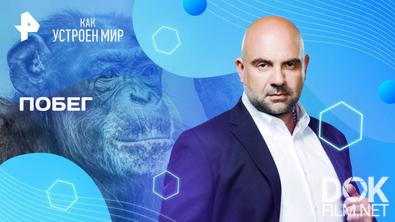 Как устроен мир с Тимофеем Баженовым. Побег (26.05.2025)