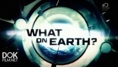 Загадки Планеты Земля / What On Earth? (2015)