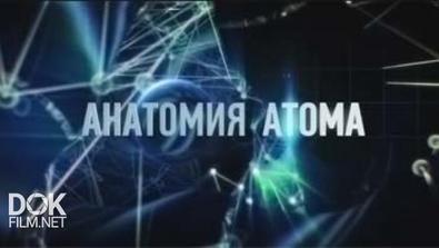 Анатомия Атома (2015)