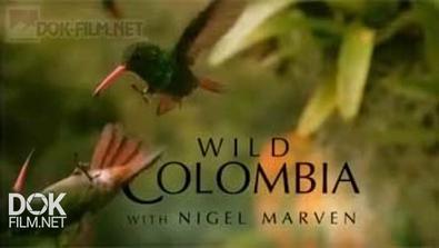 Дикая Природа Колумбии С Найджелом Марвеном / Wild Colombia With Nigel Marven (2011)