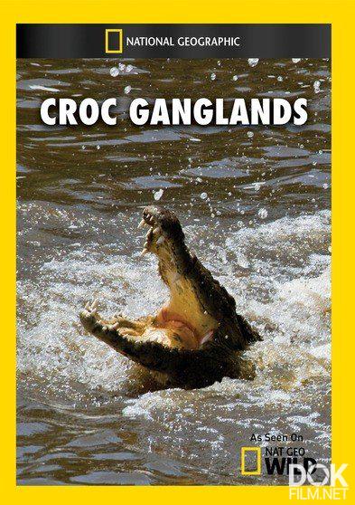 Крокодильи разборки/ Croc Ganglands (2010)