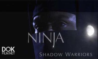 Ниндзя: Воины-Тени / Ninja: Shadow Warriors (2011)
