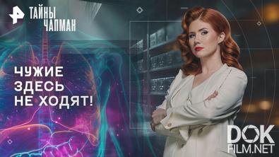 Тайны Чапман. Чужие здесь не ходят! (29.05.2026)