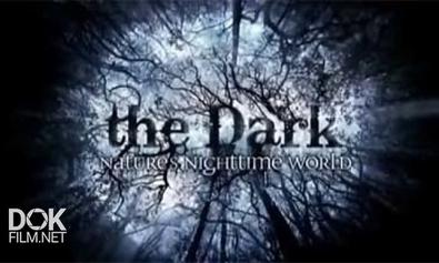 Тьма. Ночная Жизнь Природы / The Dark. Natures Nighttime World (2012)