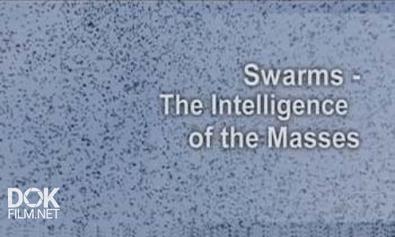 Ступени Цивилизации. Коллективное Сознание / The Intelligence Of The Masses (2010)