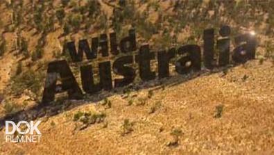 Дикая Австралия / Wild Australia (2014)