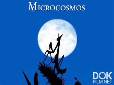 Микрокосмос/ Microcosmos: Le peuple de l'herbe (1996)