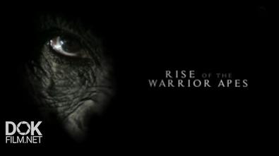 Обезьяны На Тропе Войны / Rise Of The Warrior Apes (2016)