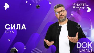 Знаете ли вы, что? Сила тока (2025)