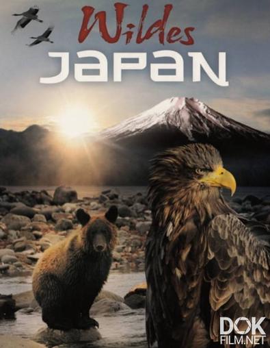 Дикая природа Японии/ Japan's Wild Secrets (2010)
