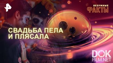 Безумные факты. Свадьба пела и плясала (2025)