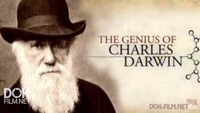 Гений Чарльза Дарвина / The Genius Of Charles Darwin (2008)