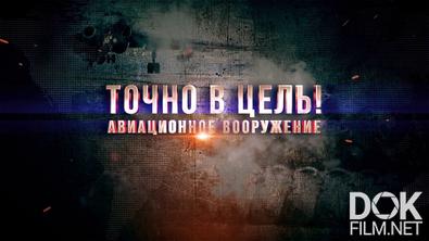 Точно в цель! Авиационное вооружение (2024)