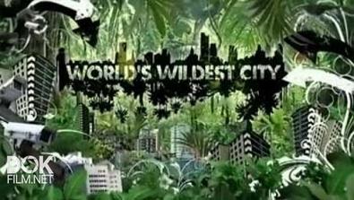 Неизведанные Города. Манаус / World\'S Wildest City. Manaus (2014)