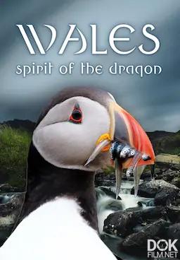 Уэльс: Дух дракона/ Wales: Spirit of the Dragon (2022)