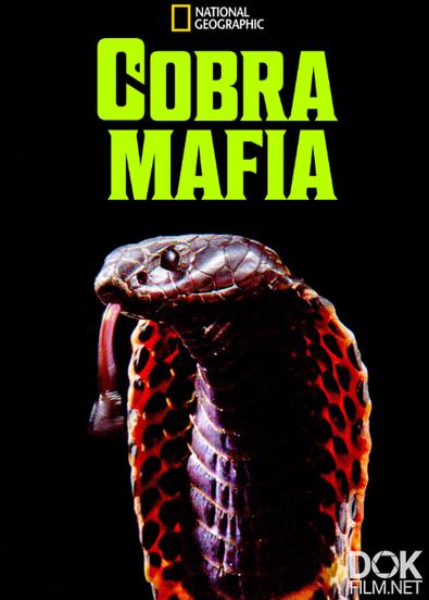 Мафия кобр/ Cobra Mafia (2014)