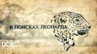 В Поисках Леопарда (2014)