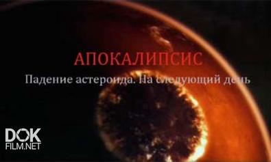 Апокалипсис. Падение Астероида. На Следующий День (2012)