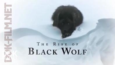 Восхождение Черного Волка / The Rise Of Black Wolf (2010)