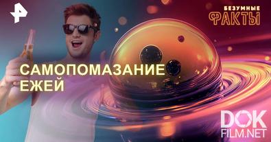 Безумные факты. Самопомазание ежей (18.05.2025)