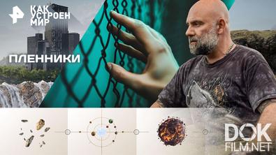 Как устроен мир с Тимофеем Баженовым. Пленники (28.04.2026)